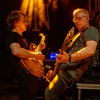 Losing Gravity - Sumpfblume Hameln